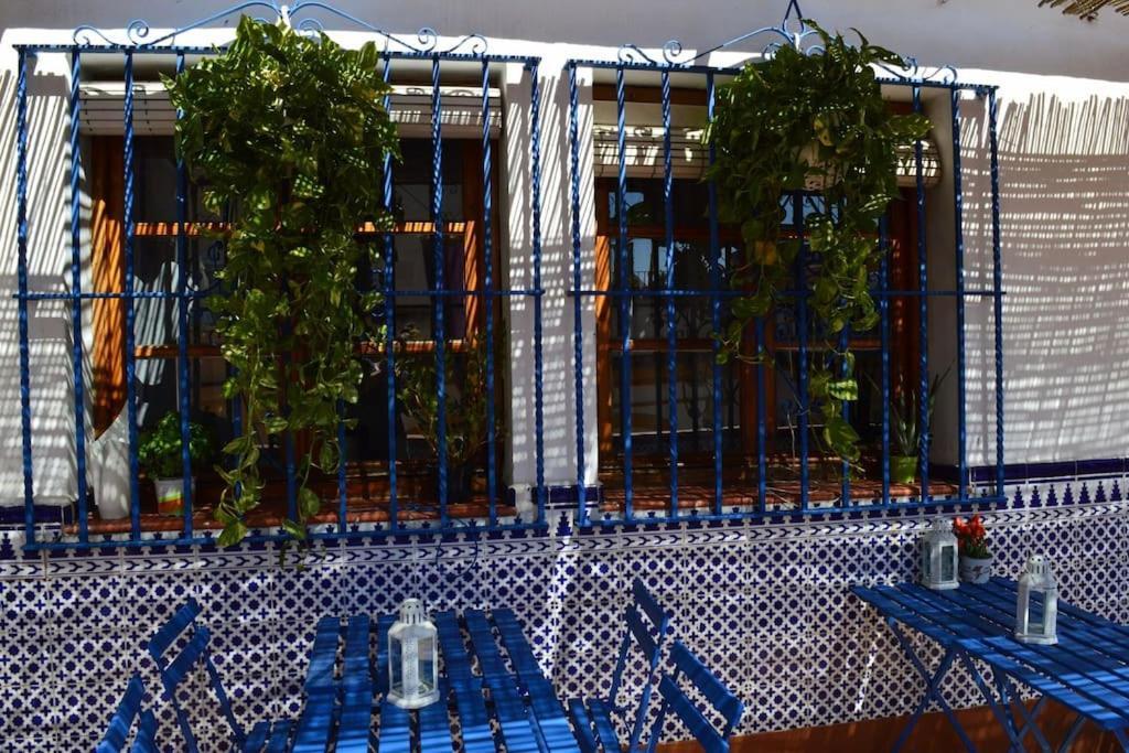 Apartamento En Sevilla Centro Con Vistas A La Plaza Alameda De Hercules - Hasta 6 Personas Dış mekan fotoğraf
