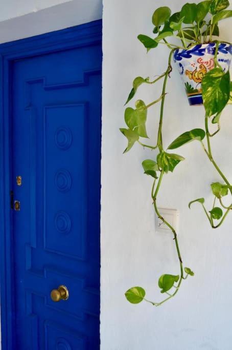 Apartamento En Sevilla Centro Con Vistas A La Plaza Alameda De Hercules - Hasta 6 Personas Dış mekan fotoğraf